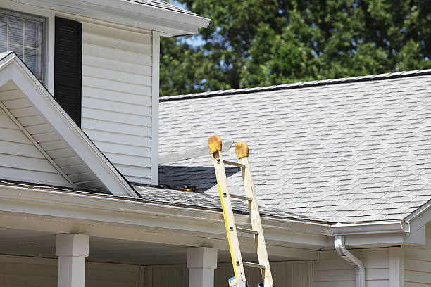 Best Residential Vinyl Siding Installation  in , UT